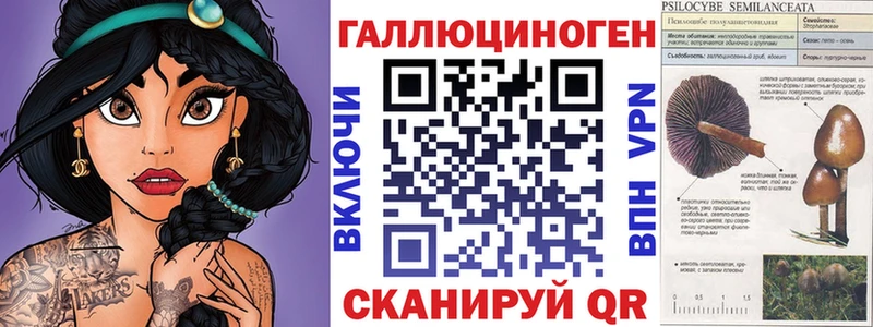 hydra как войти  Нахабино  Псилоцибиновые грибы мицелий 